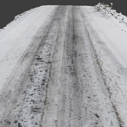 Winter Snow Dirt Road Photoscan