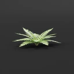 Lowpoly 3D fern model for particle systems, image-based leaves, optimized for Blender 3D environment renderings.