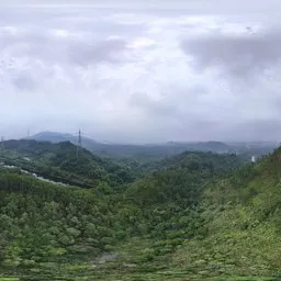 Highsky green forest 18k