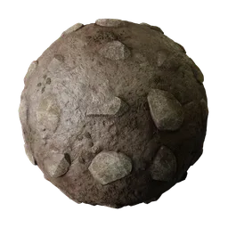 Muddy Ground with Stones