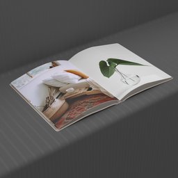 Magazine With Pages Open 3