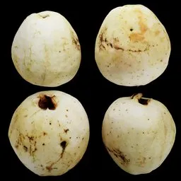 Fresh Guava Fruit