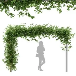 Ivy Flower Arbor Plant