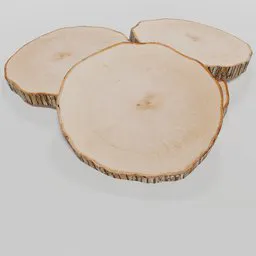 Realistic textured wood tree slice 3D model, ideal for animation and decorative purposes in Blender.