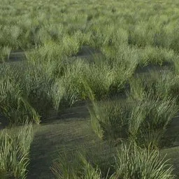 Grass Generic Small Fur