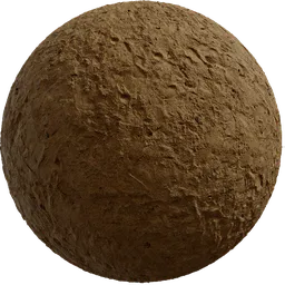 Damp Sand