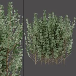 Realistic Variegated Bush
