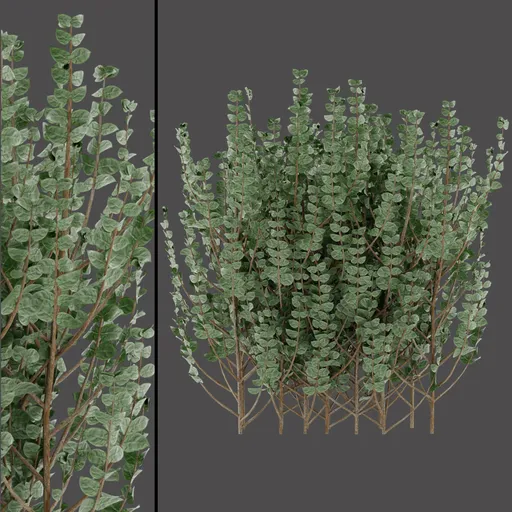 Realistic Variegated Bush