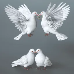 Wedding Dove