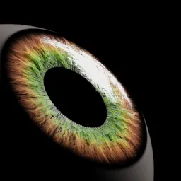Realistic Retina