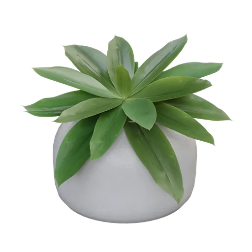 Indoor plant d