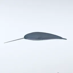 Low Poly Narwhal Animated