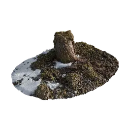 Mossy Stump