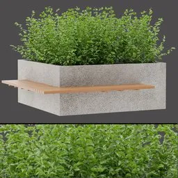 Minimal Shrub Planter