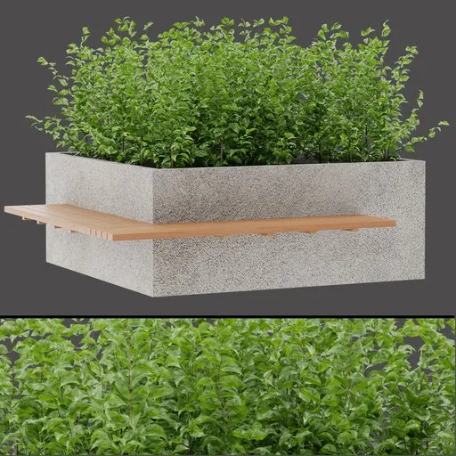 Minimal Shrub Planter