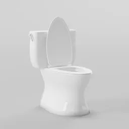 Modern Ceramic Flush Toilet