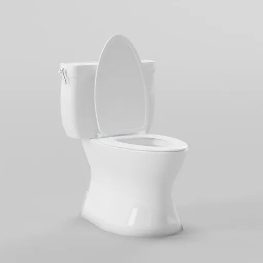 Modern Ceramic Flush Toilet