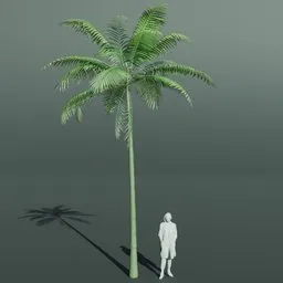 Tropical Palm Tree Large