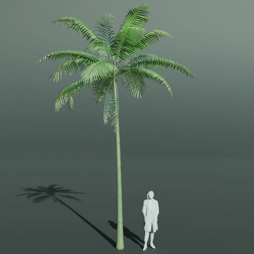 Tropical Palm Tree Large