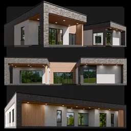 Modern One-Story House