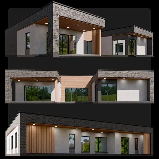 Modern One-Story House