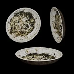 Dirty Ceramic Plate