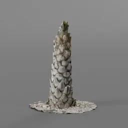 Detailed 6K low-poly 3D scanned palm tree trunk model suitable for Blender rendering and CGI projects.