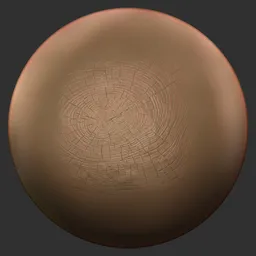 ER_Wood Brush-Branch Rings Rough