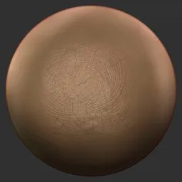 ER_Wood Brush-Branch Rings Rough