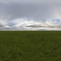 Green grass cloudy blue sky pure sky