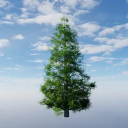 Low Poly Evergreen Tree Short 2