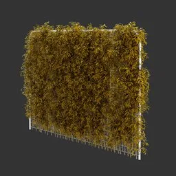 Fence Ivy Autumn Plant