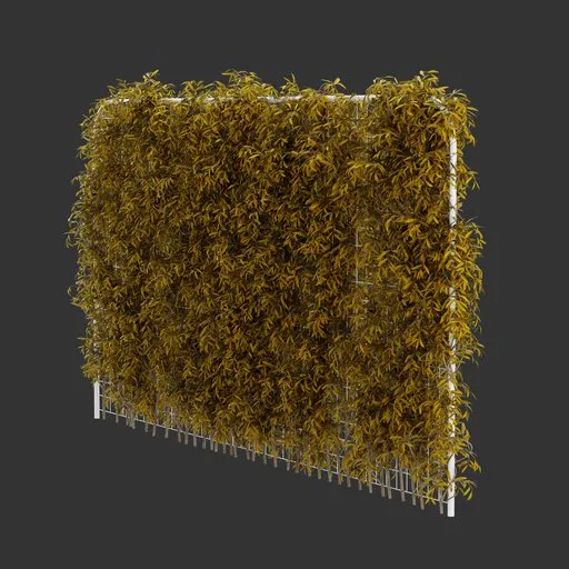 Fence Ivy Autumn Plant