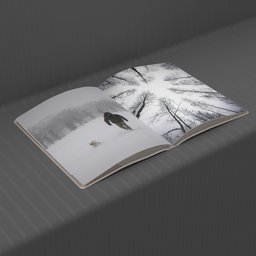 Magazine With Pages Open 5