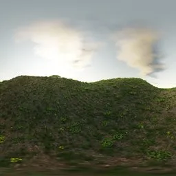 Sunny Green Hill Landscape