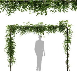 simple ivy Trellis plant