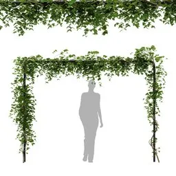 simple ivy Trellis plant