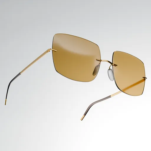 Sun Glasses