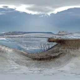 Frozen Winter Shoreline