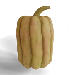 Squash - Pumpkin