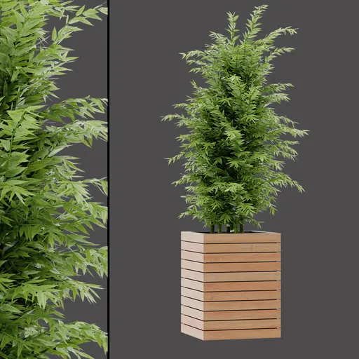 Realistic Bamboo Vegetation