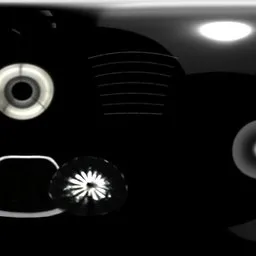 Black White Light Studio