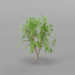 tree