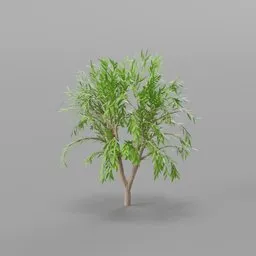 tree