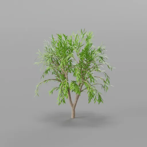tree