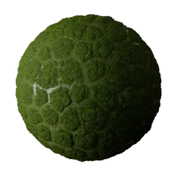 Grass with Water