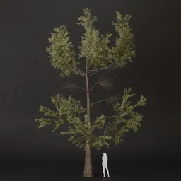 SJ-Leafy Joy Pine Tree