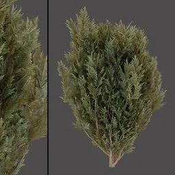 Realistic Pine Bush