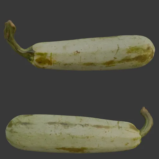Zucchini scan