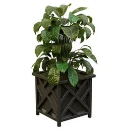 Lush Foliage